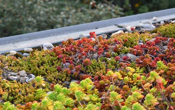 the cost of Little Langford green roof installation