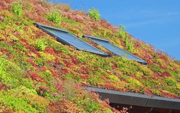 Little Langford living roof systems