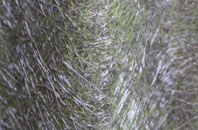 Little Langford fibreglass roof work